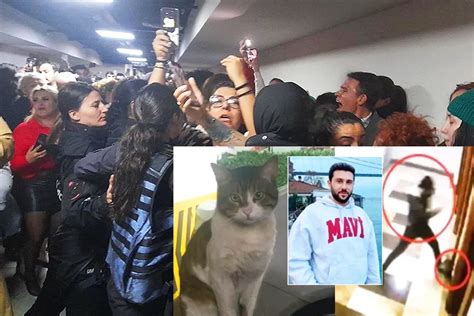 eros cat video|Turkish Man Escapes with Lenient Sentence After Fatally .